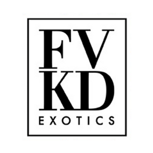 Logo 4